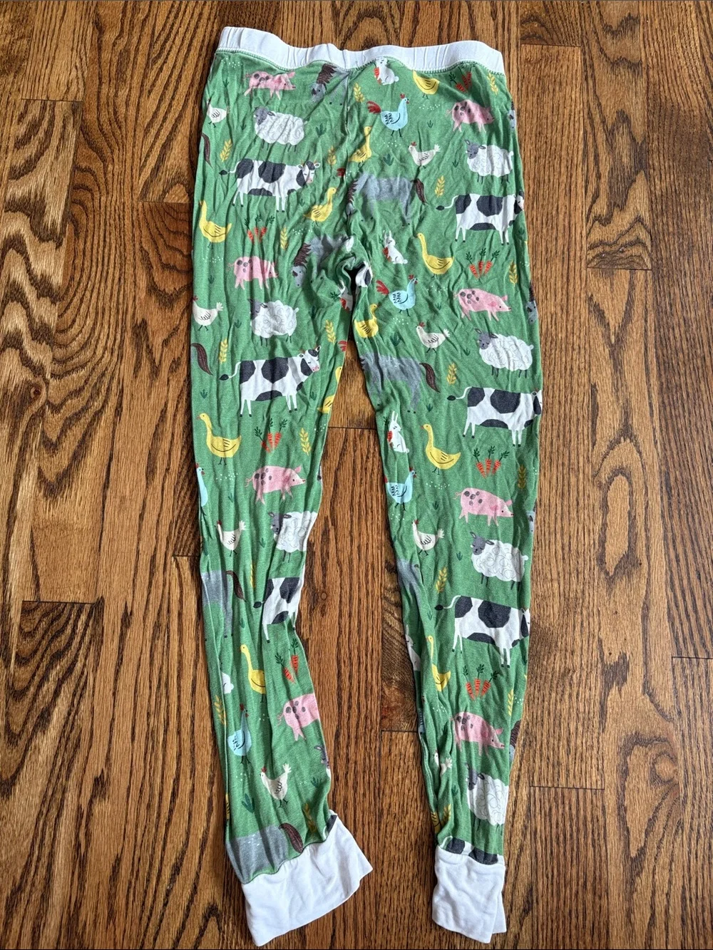 Little Sleepies green bamboo Farm Animals print, 2 piece pajama set. Size 9/10
